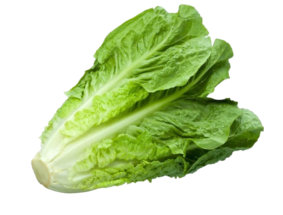 Salata_romana-removebg-preview